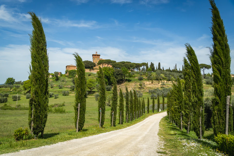 Strada bianca fra i cipressi verso una villa sulla collina in Toscana